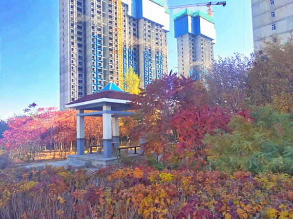 &#76;&#69;&#84;&#79;&#85;&#46;&#67;&#79;&#77;&#45;&#20048;&#25237;&#65288;&#20013;&#22269;&#65289;